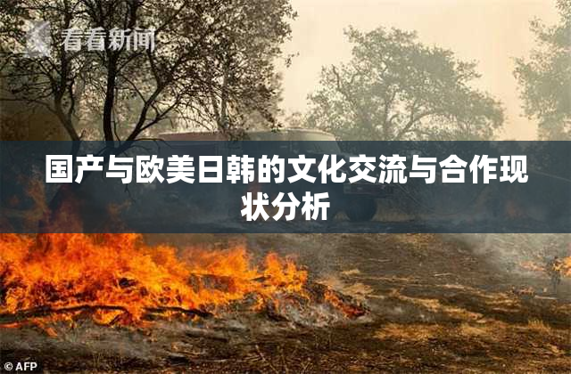 国产与欧美日韩的文化交流与合作现状分析
