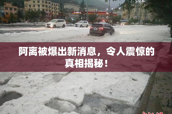 阿离被爆出新消息，令人震惊的真相揭秘！