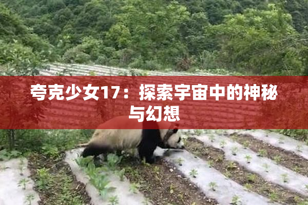 夸克少女17：探索宇宙中的神秘与幻想