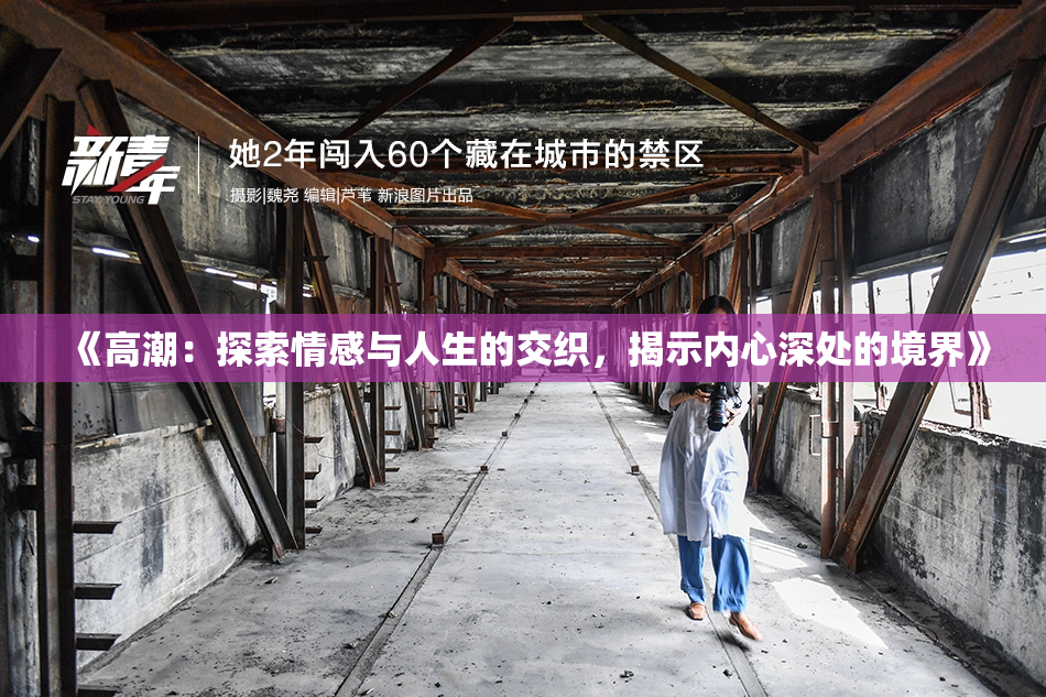 《高潮：探索情感与人生的交织，揭示内心深处的境界》