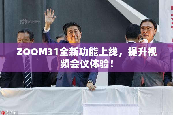 ZOOM31全新功能上线，提升视频会议体验！