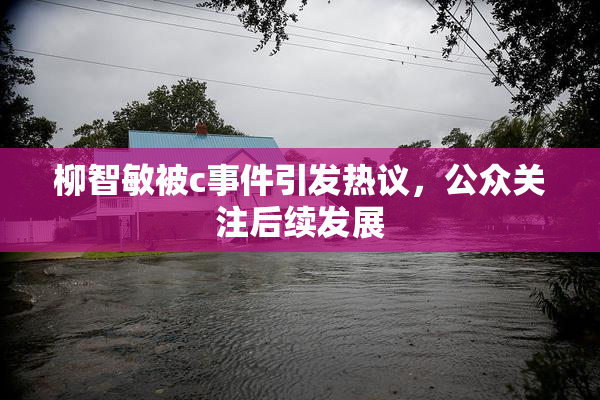 柳智敏被c事件引发热议，公众关注后续发展