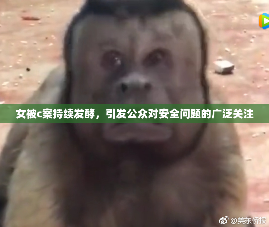 女被c案持续发酵，引发公众对安全问题的广泛关注