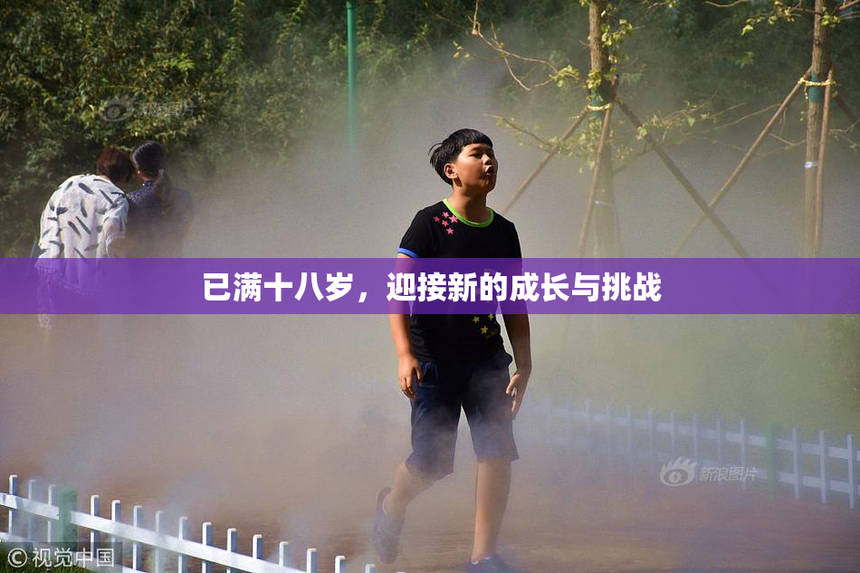 已满十八岁，迎接新的成长与挑战