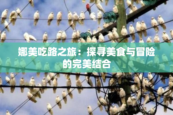 娜美吃路之旅：探寻美食与冒险的完美结合