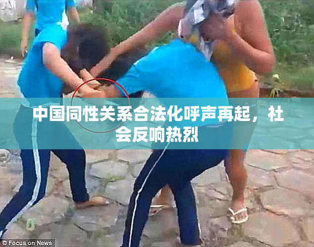 中国同性关系合法化呼声再起，社会反响热烈