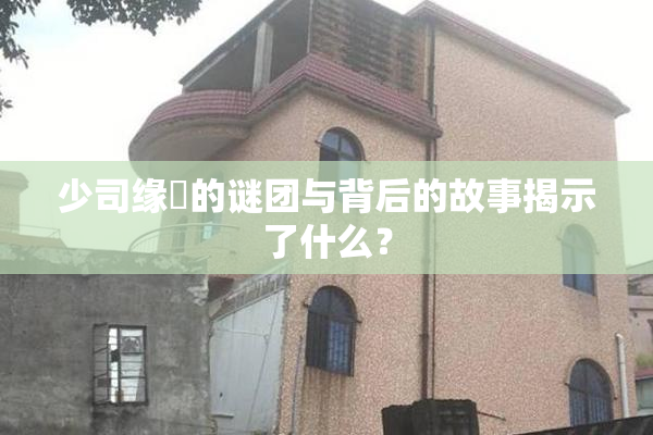 少司缘婬的谜团与背后的故事揭示了什么？