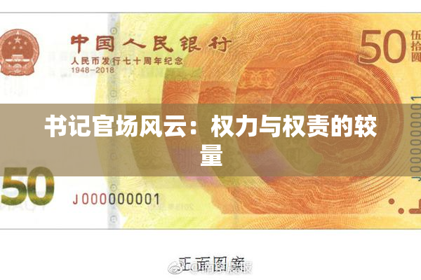 书记官场风云：权力与权责的较量