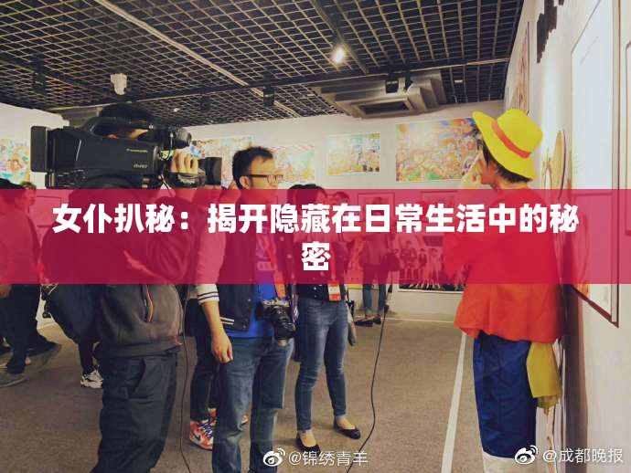 女仆扒秘：揭开隐藏在日常生活中的秘密