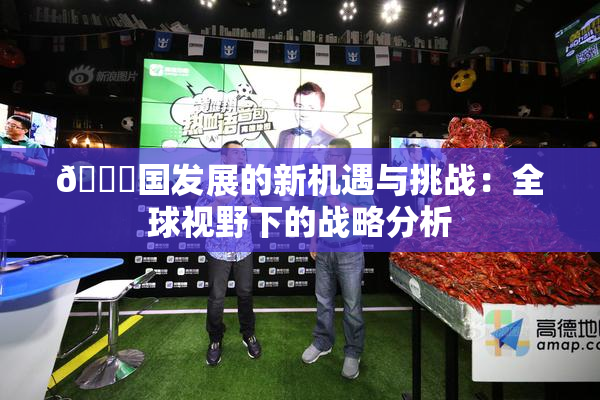 🔞国发展的新机遇与挑战：全球视野下的战略分析