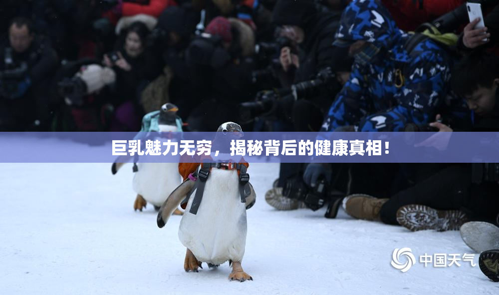 巨乳魅力无穷，揭秘背后的健康真相！