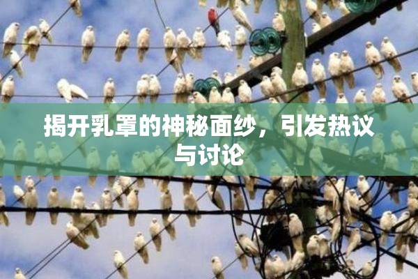 揭开乳罩的神秘面纱，引发热议与讨论