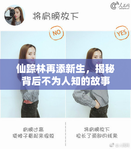 仙踪林再添新生，揭秘背后不为人知的故事