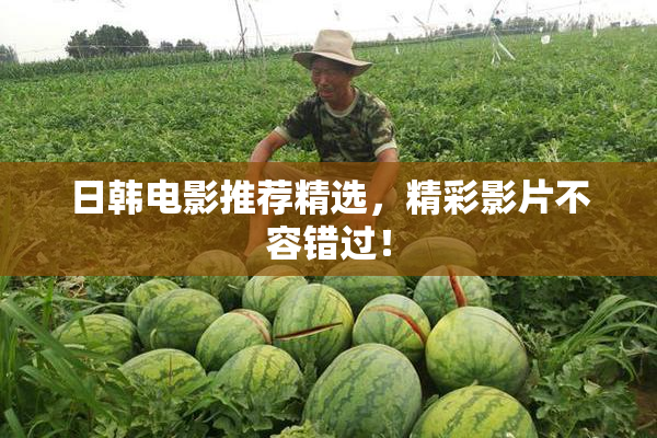 日韩电影推荐精选，精彩影片不容错过！