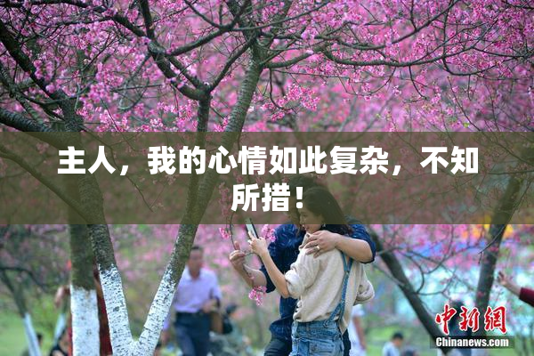 主人，我的心情如此复杂，不知所措！