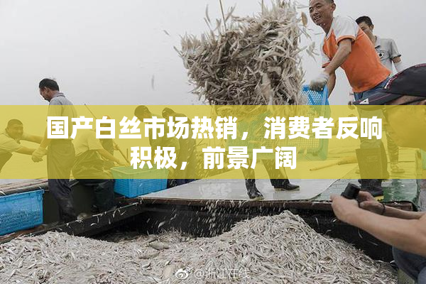 国产白丝市场热销，消费者反响积极，前景广阔