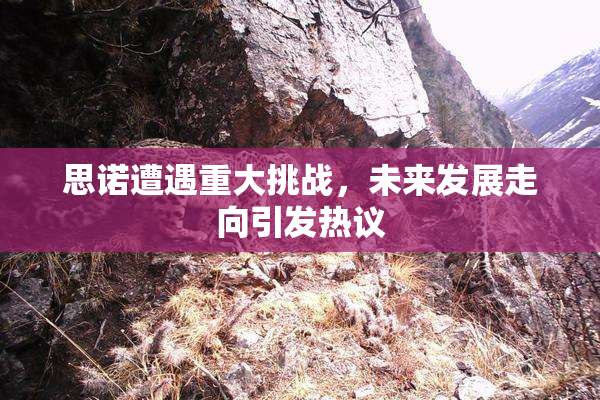 思诺遭遇重大挑战，未来发展走向引发热议