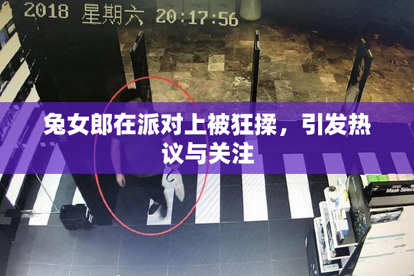兔女郎在派对上被狂揉，引发热议与关注