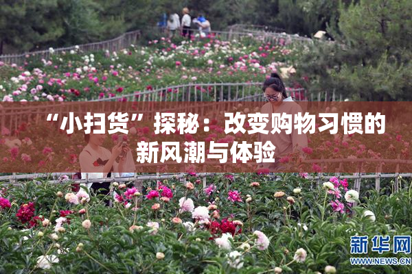 “小扫货”探秘：改变购物习惯的新风潮与体验