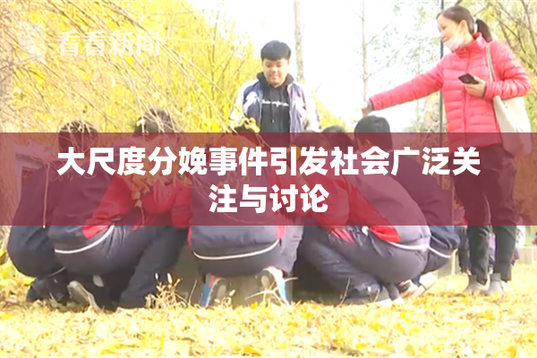 大尺度分娩事件引发社会广泛关注与讨论