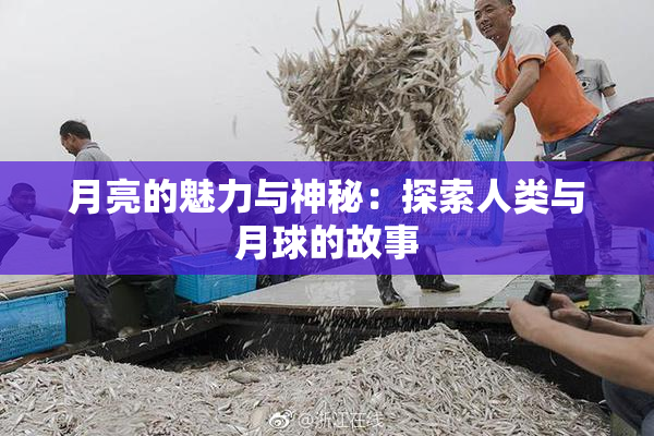 月亮的魅力与神秘：探索人类与月球的故事
