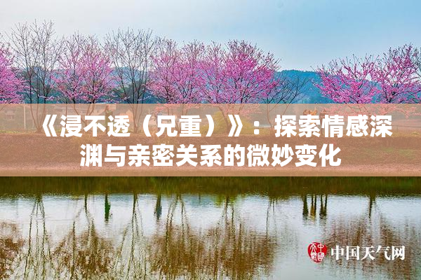 《浸不透（兄重）》：探索情感深渊与亲密关系的微妙变化