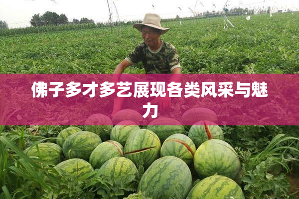 佛子多才多艺展现各类风采与魅力