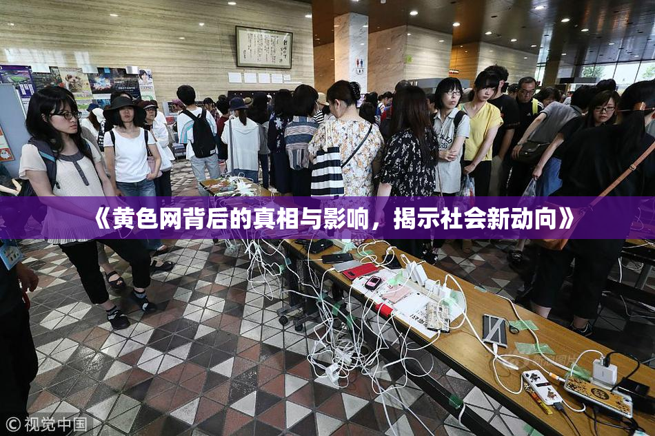 《黄色网背后的真相与影响，揭示社会新动向》