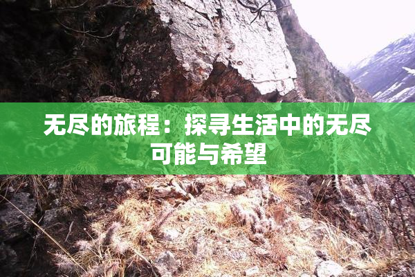 无尽的旅程：探寻生活中的无尽可能与希望