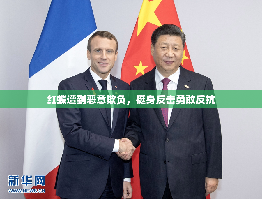 红蝶遭到恶意欺负，挺身反击勇敢反抗
