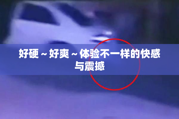 好硬～好爽～体验不一样的快感与震撼