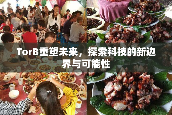 TorB重塑未来，探索科技的新边界与可能性