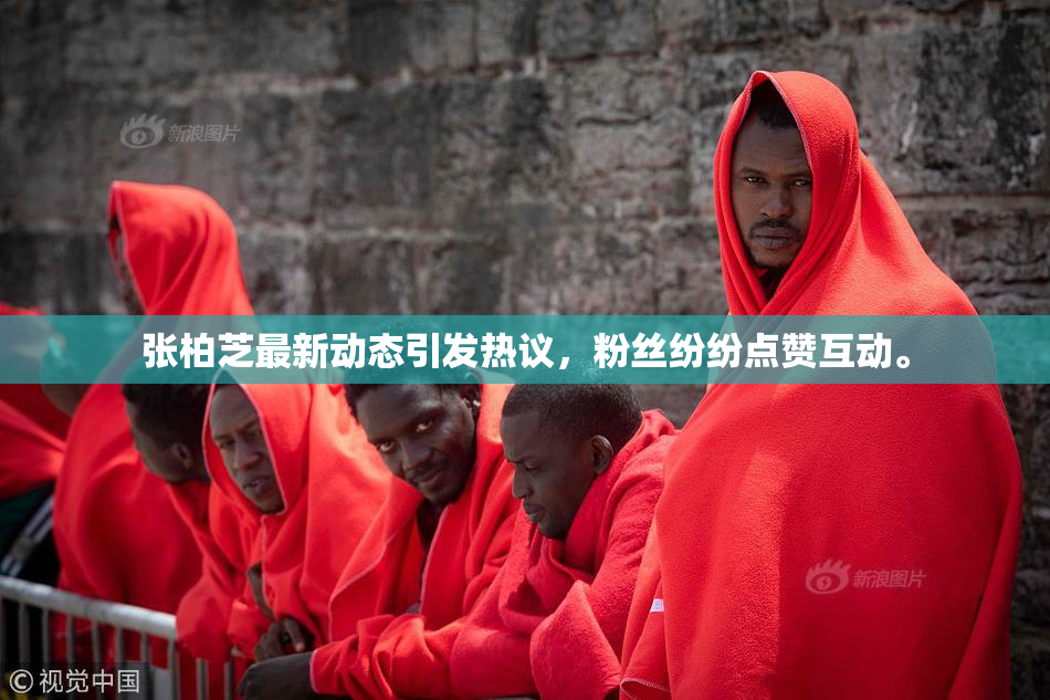 张柏芝最新动态引发热议，粉丝纷纷点赞互动。