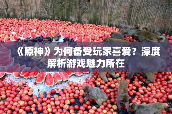《原神》为何备受玩家喜爱？深度解析游戏魅力所在