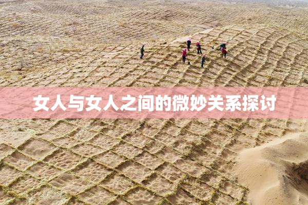 女人与女人之间的微妙关系探讨