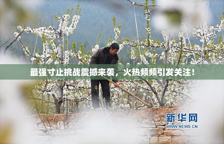 最强寸止挑战震撼来袭，火热频频引发关注！