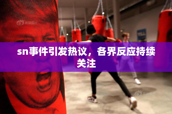 sn事件引发热议，各界反应持续关注