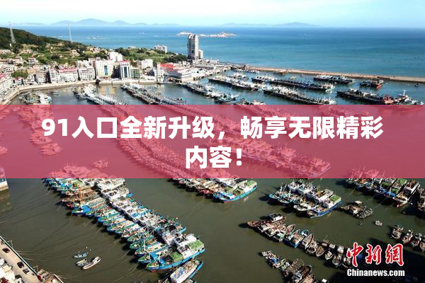 91入口全新升级，畅享无限精彩内容！