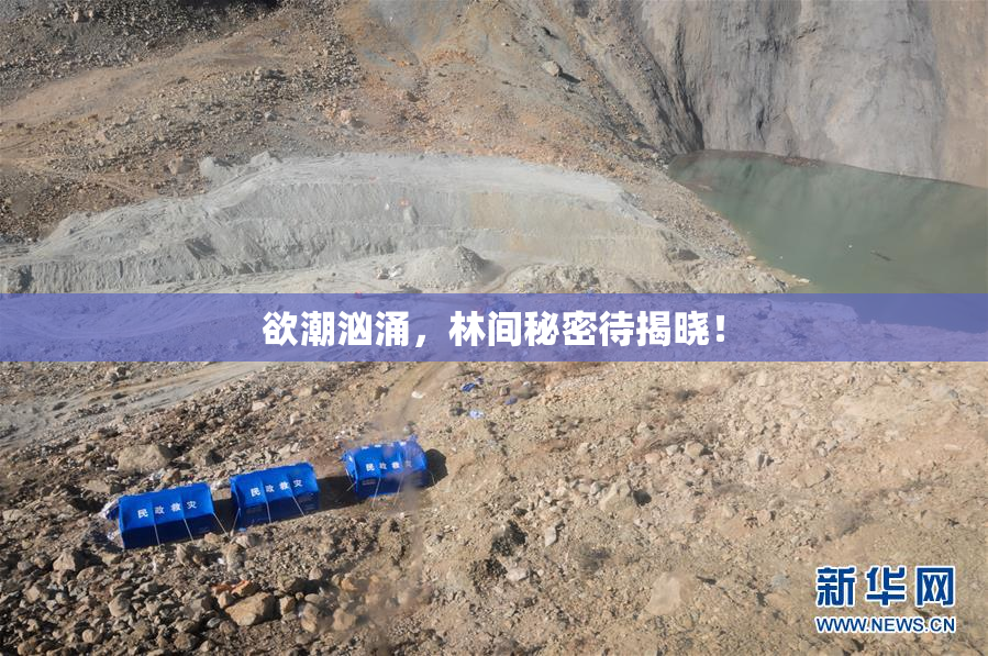 欲潮汹涌，林间秘密待揭晓！