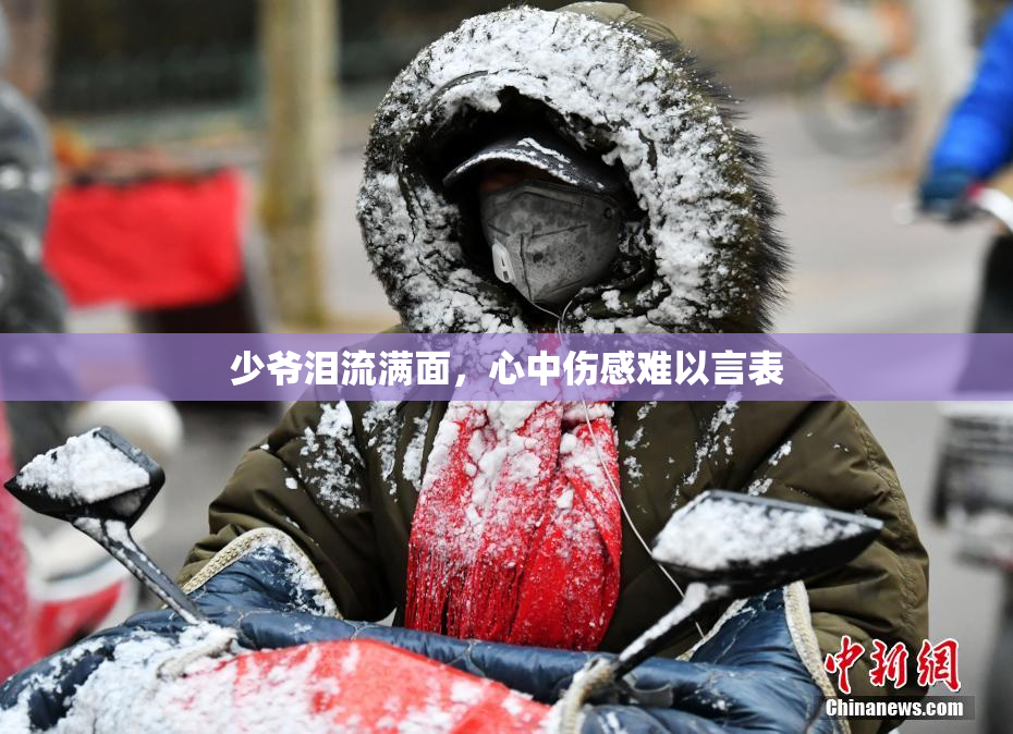 少爷泪流满面，心中伤感难以言表
