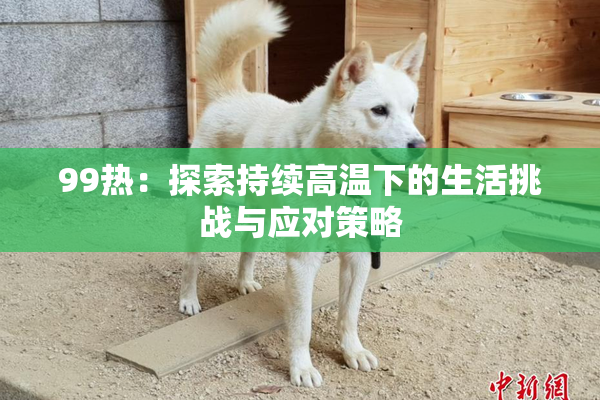 99热：探索持续高温下的生活挑战与应对策略