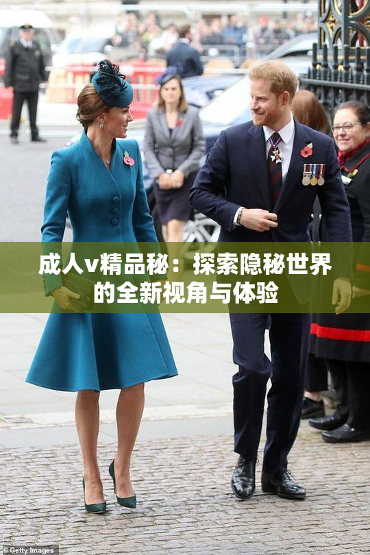 成人v精品秘：探索隐秘世界的全新视角与体验