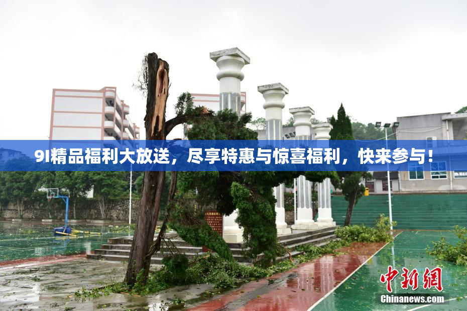 9I精品福利大放送，尽享特惠与惊喜福利，快来参与！
