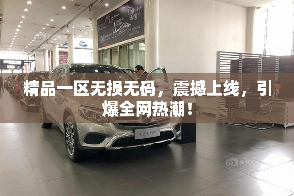 精品一区无损无码，震撼上线，引爆全网热潮！