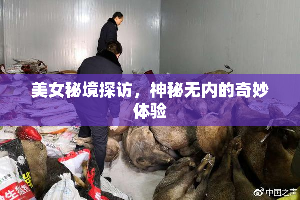 美女秘境探访，神秘无内的奇妙体验