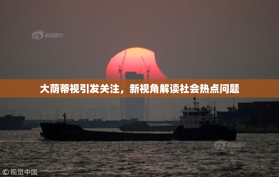 大荫蒂视引发关注，新视角解读社会热点问题