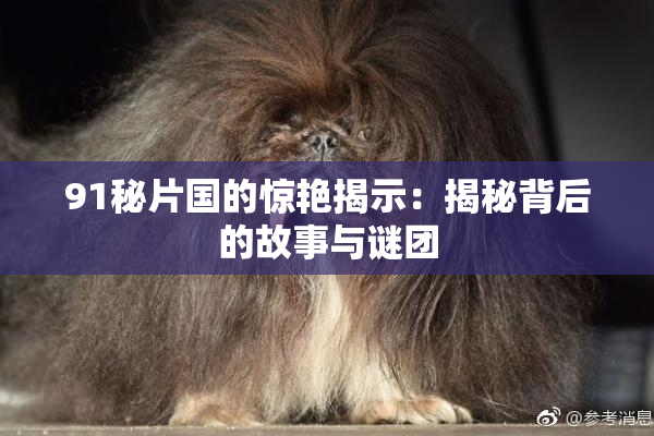 91秘片国的惊艳揭示：揭秘背后的故事与谜团