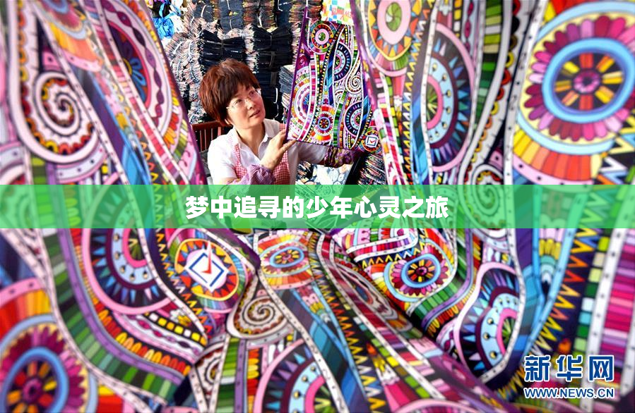 梦中追寻的少年心灵之旅
