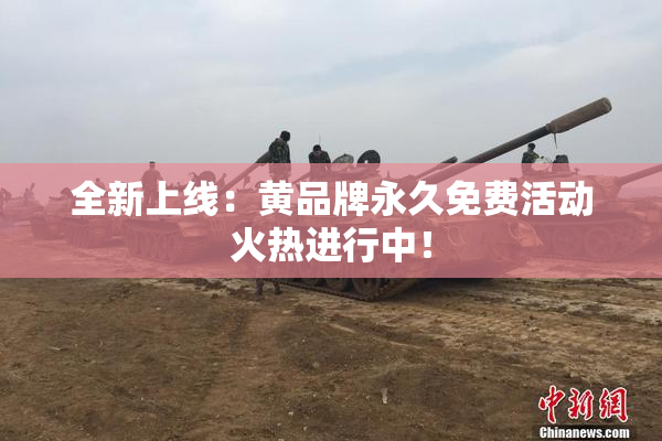 全新上线：黄品牌永久免费活动火热进行中！