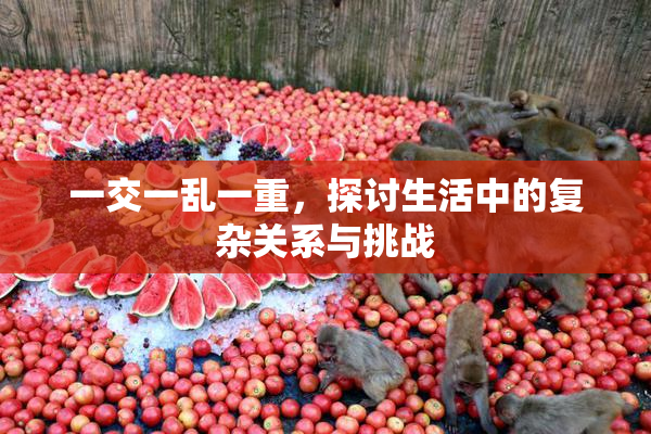 一交一乱一重，探讨生活中的复杂关系与挑战